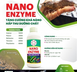 Nano Enzyme